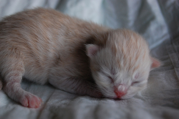 Baby 2 - noch namenlos.jpg